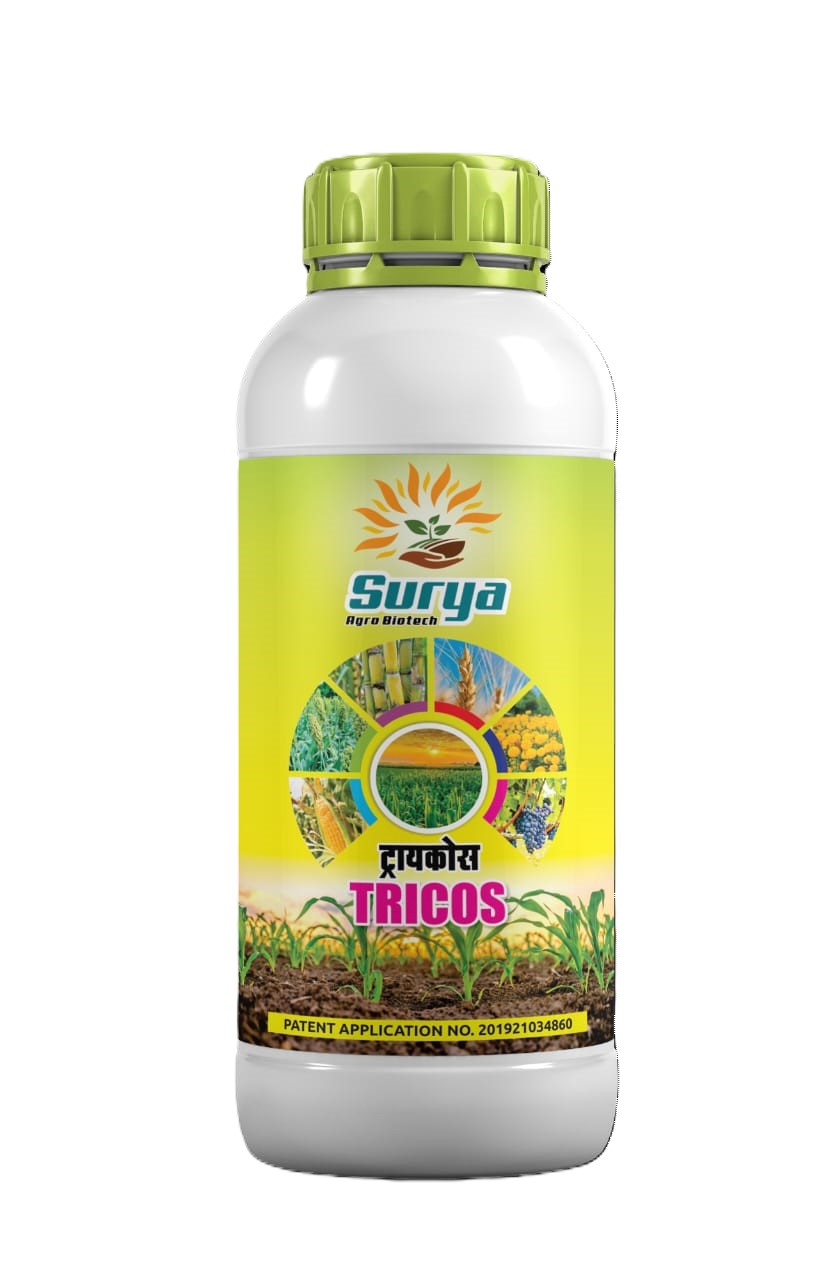 Special Product